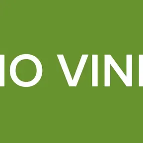 RADIO VINNILO