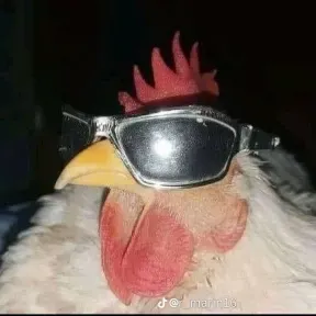 Leolive