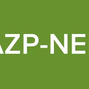 KAZP-NERP