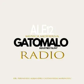 RADIO GATOMALO ALE12