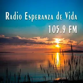 Radio EDV