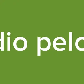 Radio pelotas