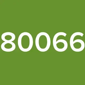 0800666