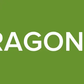 DRAGON  A