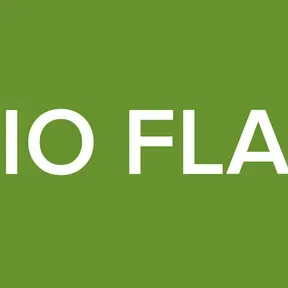 WEB RÁDIO FLASH MEGA