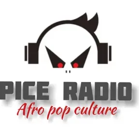 PICE RADIO