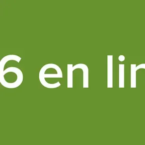 026 en linea