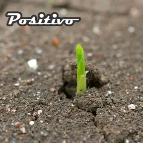 RADIO POSITIVO