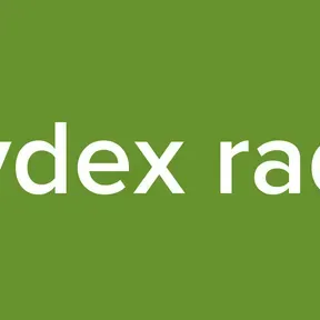 raydex radio