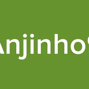 Anjinho9