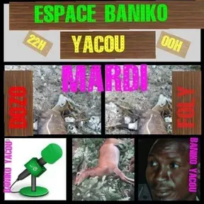 Radio Espace Baniko Yacou