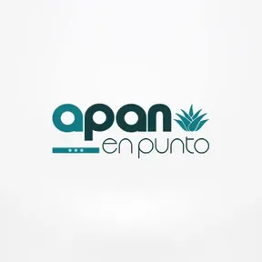 APAN EN PUNTO