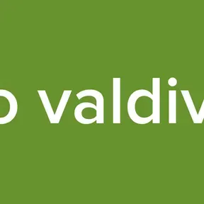 Radio valdiviezo