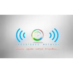 TeguStereo