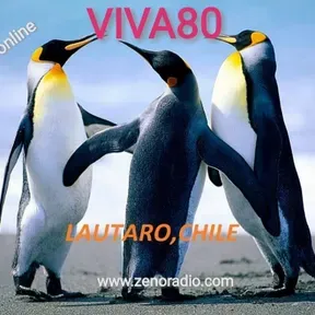 VIVA 80