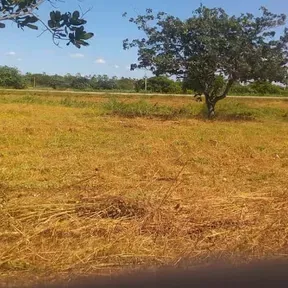 roldão fm