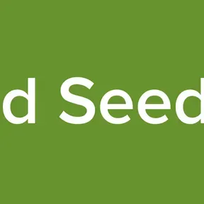 Blessed Seed Radio