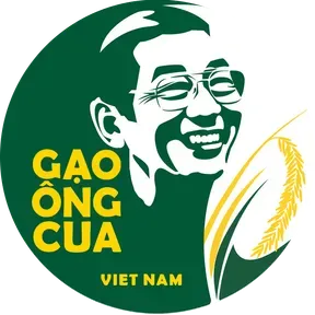 Gao ST25 Chinh Hang - Gao Ong Cua Podcast