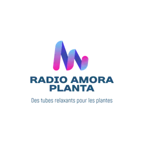 RADIO AMORA PLANTA