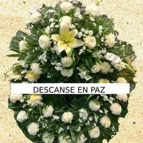 MUSICA MEXICANA