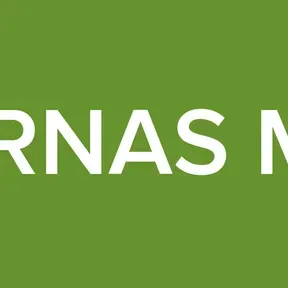 EXTERNAS MISSA
