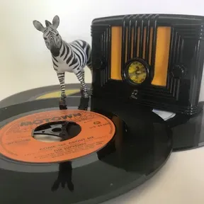 radio ZEBRA