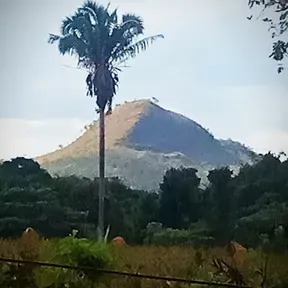 Alto Bhakti