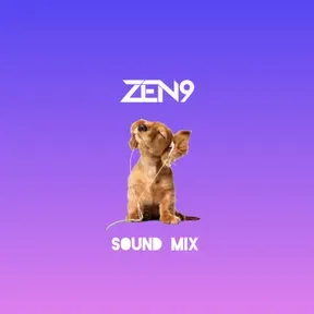 ZEN9 Sound Mix