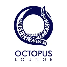 octopus radio 505