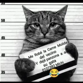 Los del espacio