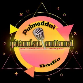 Pulmoddai Radio