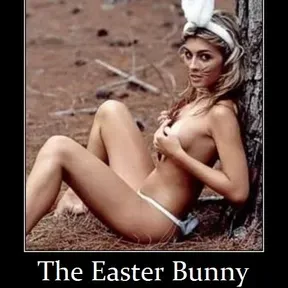 BunnyTrax