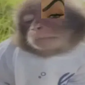 161161
