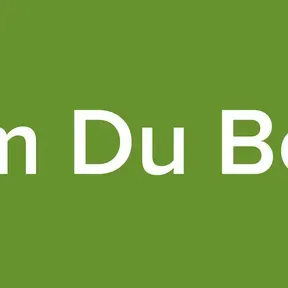 Som Du Bom