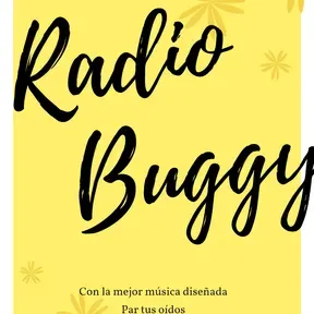 BUGGY RADIO