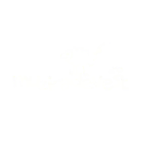 MuzicaDeVest / free, improvised, jazz, avangarde, loft music