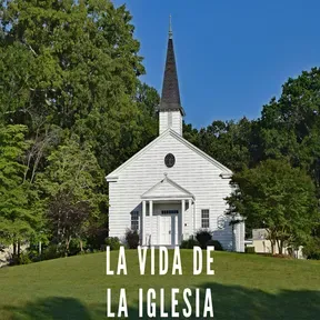 Vida de la Iglesia