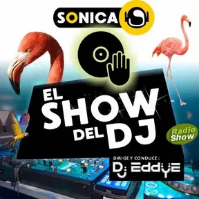 SHOW DEL DJ