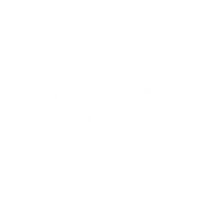 Los Santos News Network Radio