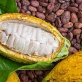 The Cocoa Butter PODcast