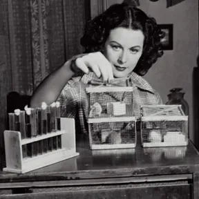 Hedy L