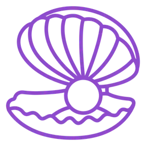RADIO BSP