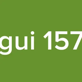 gui 157