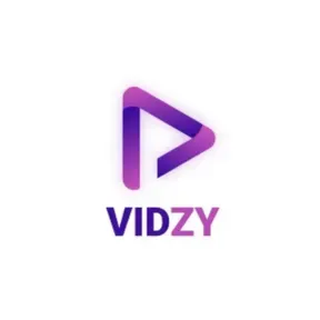 Vidzy