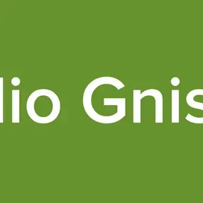 Radio Gnisten