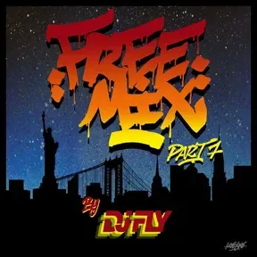 Dj Fly