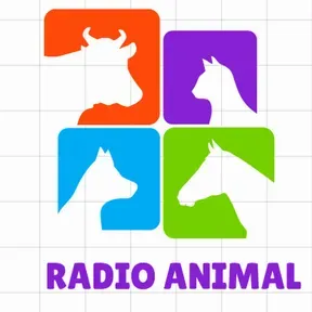 RADIO ANIMAL