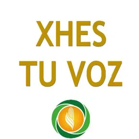 PRONAES TU VOZ