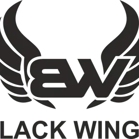 Radio Black Wings