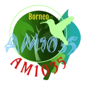 Borneo AM1035